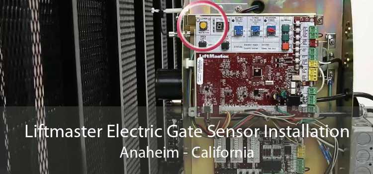 Liftmaster Electric Gate Sensor Installation Anaheim - California