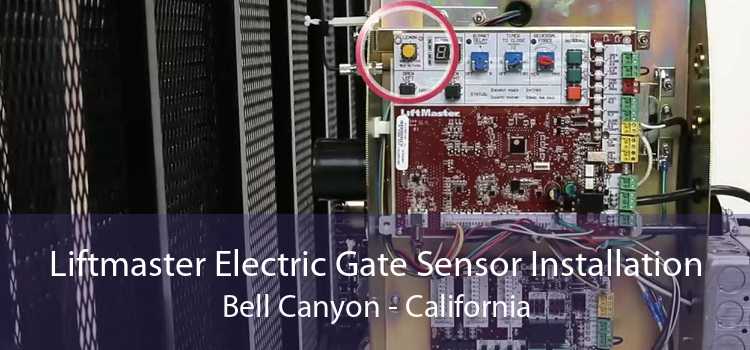 Liftmaster Electric Gate Sensor Installation Bell Canyon - California