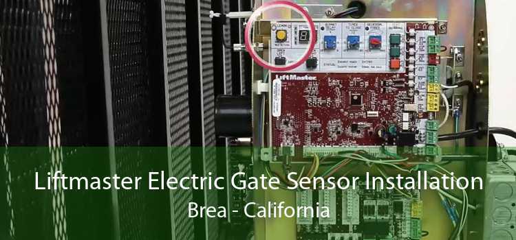 Liftmaster Electric Gate Sensor Installation Brea - California