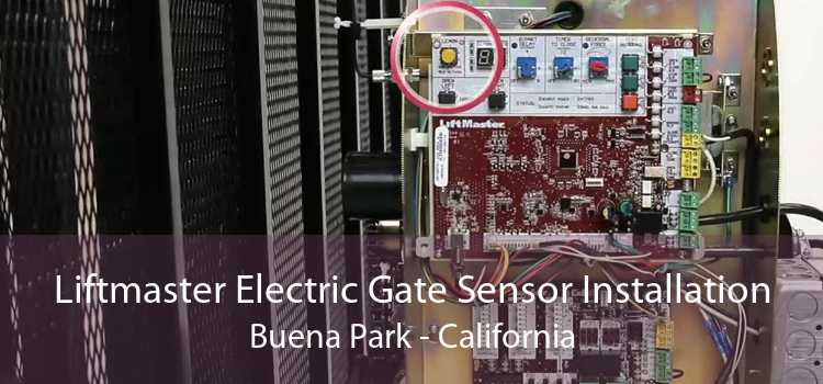 Liftmaster Electric Gate Sensor Installation Buena Park - California