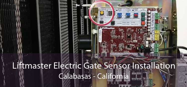 Liftmaster Electric Gate Sensor Installation Calabasas - California