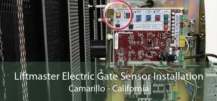 Liftmaster Electric Gate Sensor Installation Camarillo - California