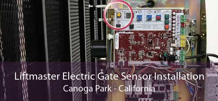 Liftmaster Electric Gate Sensor Installation Canoga Park - California