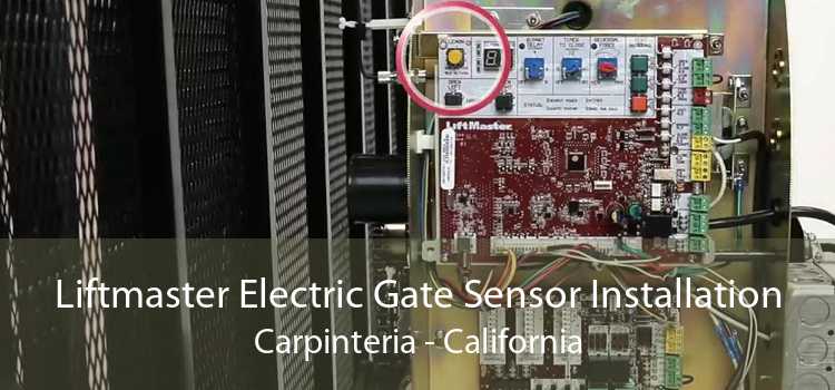 Liftmaster Electric Gate Sensor Installation Carpinteria - California