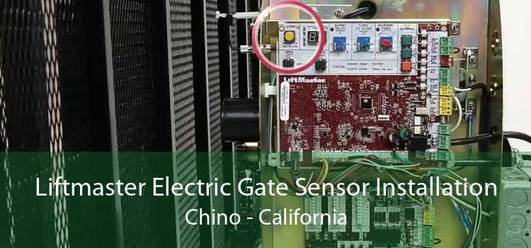 Liftmaster Electric Gate Sensor Installation Chino - California