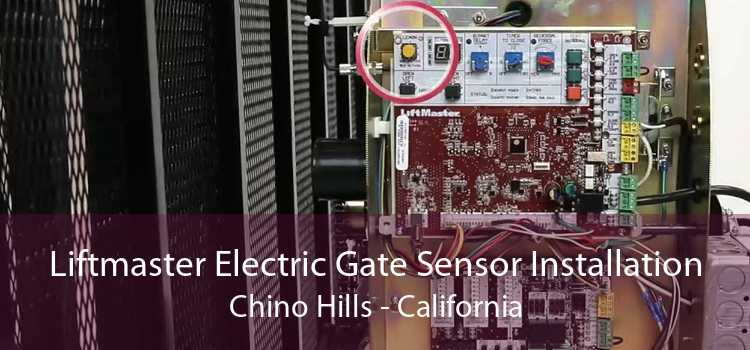 Liftmaster Electric Gate Sensor Installation Chino Hills - California