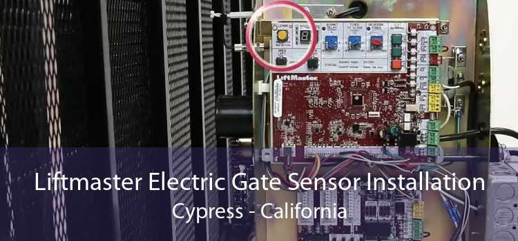 Liftmaster Electric Gate Sensor Installation Cypress - California
