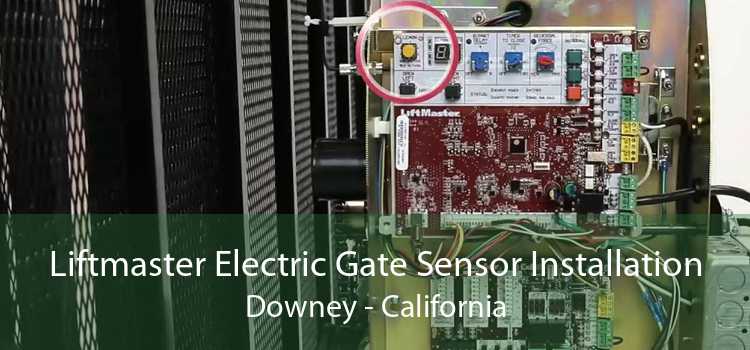 Liftmaster Electric Gate Sensor Installation Downey - California
