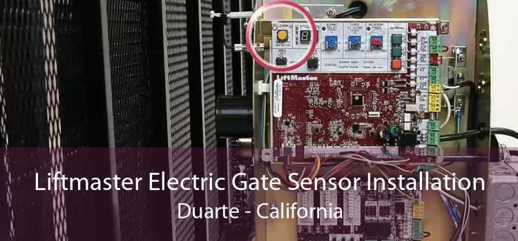 Liftmaster Electric Gate Sensor Installation Duarte - California