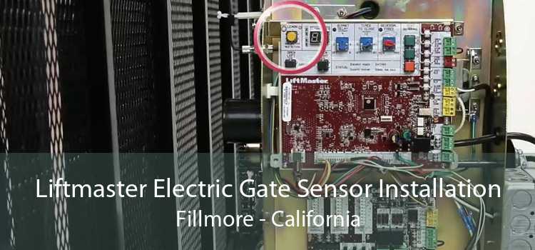 Liftmaster Electric Gate Sensor Installation Fillmore - California