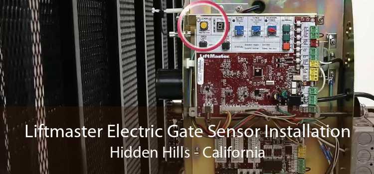 Liftmaster Electric Gate Sensor Installation Hidden Hills - California