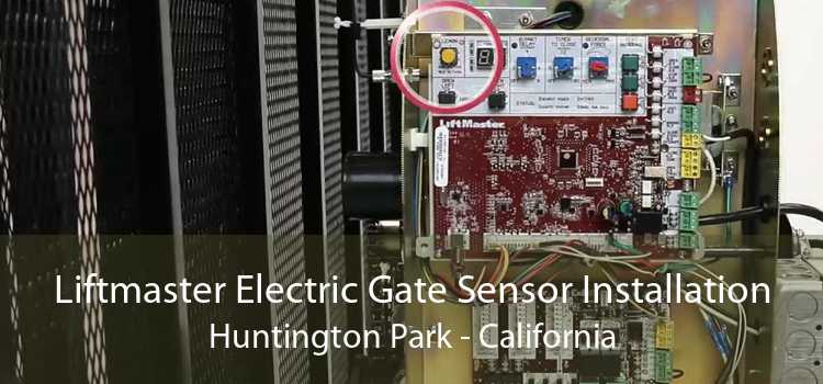 Liftmaster Electric Gate Sensor Installation Huntington Park - California