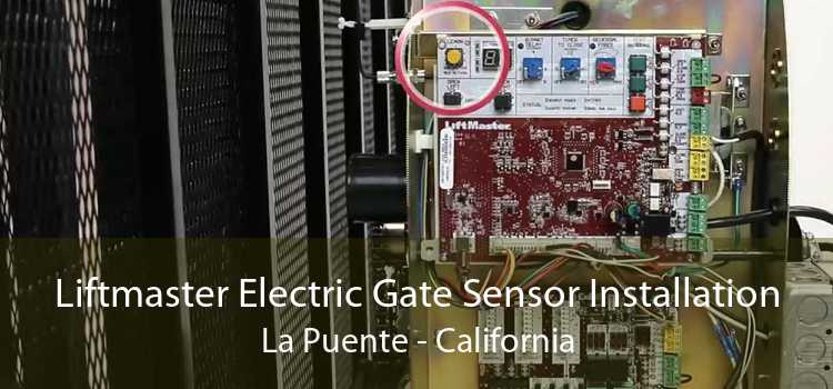 Liftmaster Electric Gate Sensor Installation La Puente - California