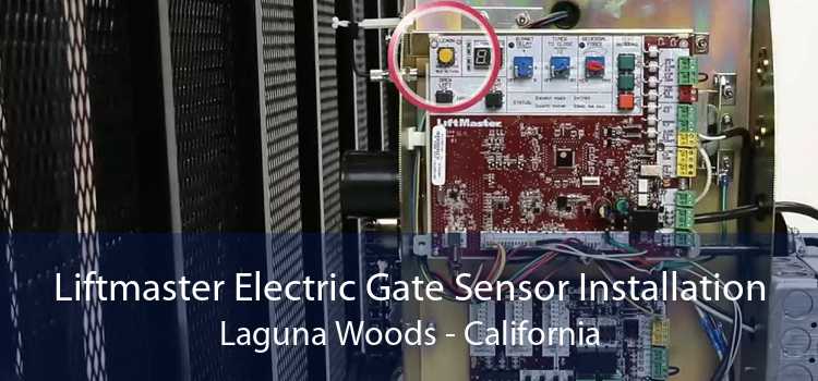 Liftmaster Electric Gate Sensor Installation Laguna Woods - California