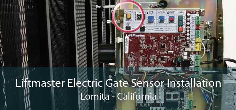 Liftmaster Electric Gate Sensor Installation Lomita - California