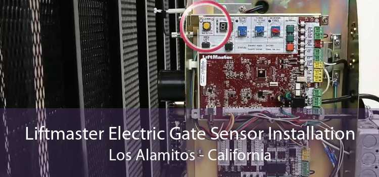 Liftmaster Electric Gate Sensor Installation Los Alamitos - California