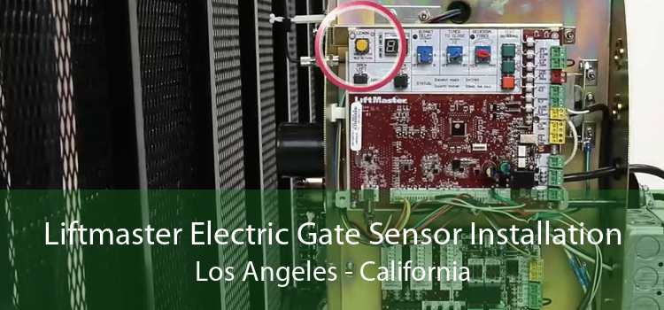 Liftmaster Electric Gate Sensor Installation Los Angeles - California