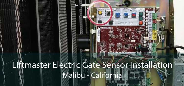 Liftmaster Electric Gate Sensor Installation Malibu - California