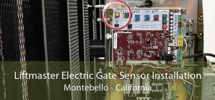 Liftmaster Electric Gate Sensor Installation Montebello - California