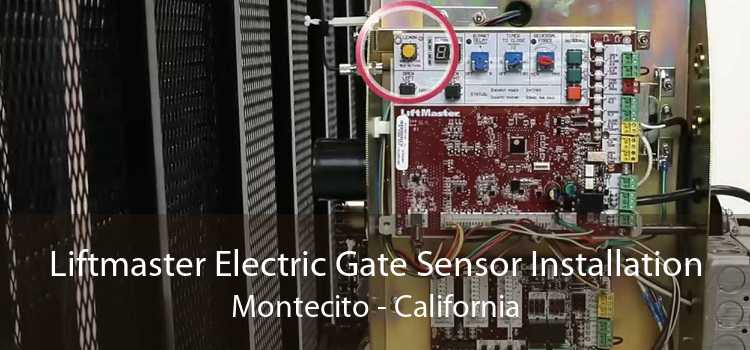 Liftmaster Electric Gate Sensor Installation Montecito - California