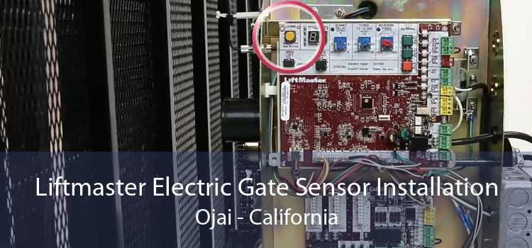 Liftmaster Electric Gate Sensor Installation Ojai - California