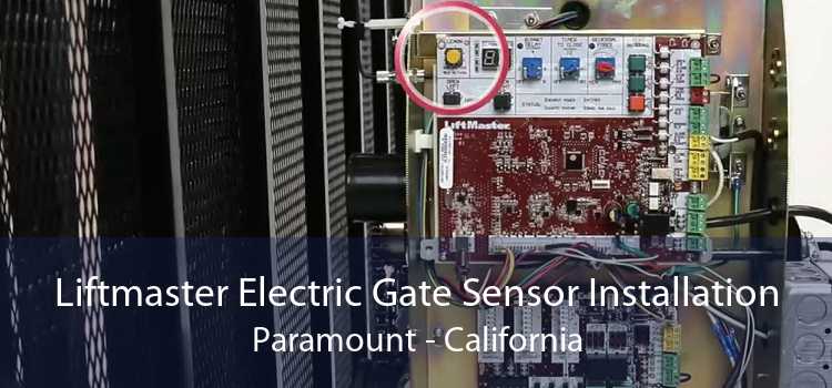 Liftmaster Electric Gate Sensor Installation Paramount - California