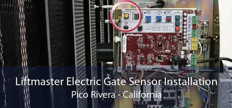 Liftmaster Electric Gate Sensor Installation Pico Rivera - California
