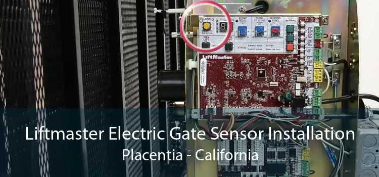 Liftmaster Electric Gate Sensor Installation Placentia - California