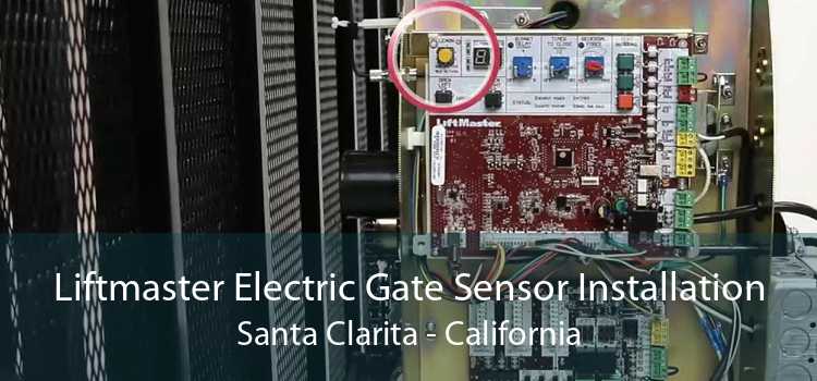 Liftmaster Electric Gate Sensor Installation Santa Clarita - California