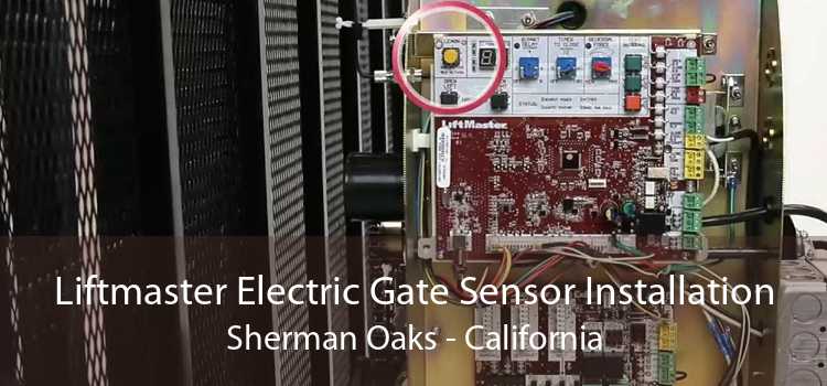 Liftmaster Electric Gate Sensor Installation Sherman Oaks - California
