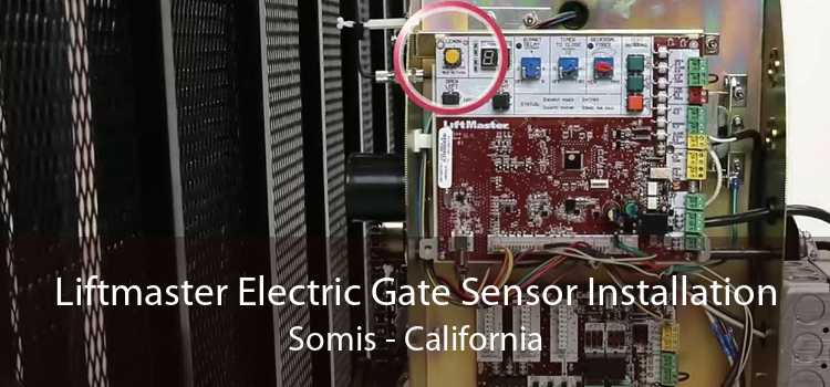 Liftmaster Electric Gate Sensor Installation Somis - California