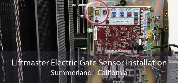 Liftmaster Electric Gate Sensor Installation Summerland - California