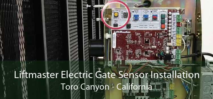 Liftmaster Electric Gate Sensor Installation Toro Canyon - California