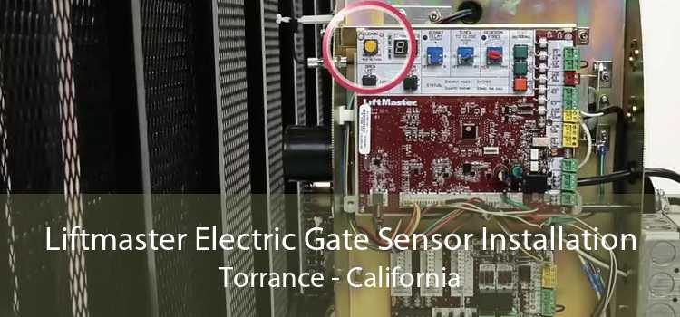 Liftmaster Electric Gate Sensor Installation Torrance - California