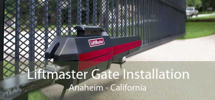 Liftmaster Gate Installation Anaheim - California