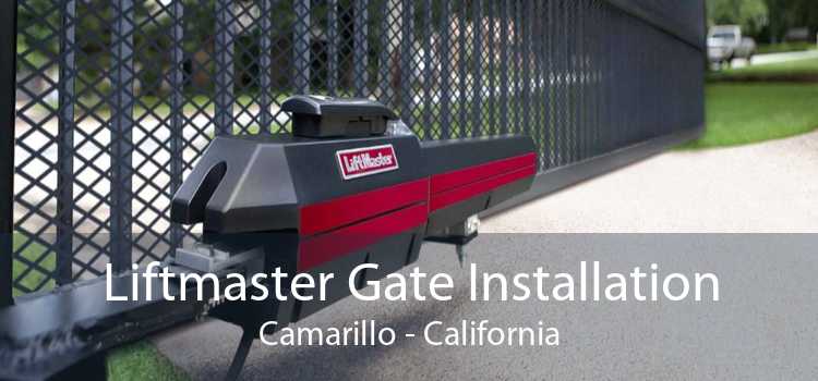 Liftmaster Gate Installation Camarillo - California