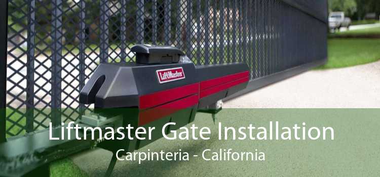 Liftmaster Gate Installation Carpinteria - California
