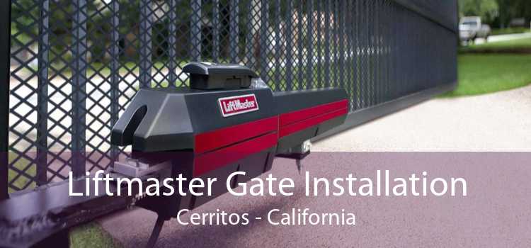 Liftmaster Gate Installation Cerritos - California