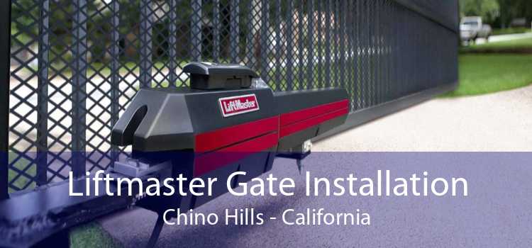 Liftmaster Gate Installation Chino Hills - California