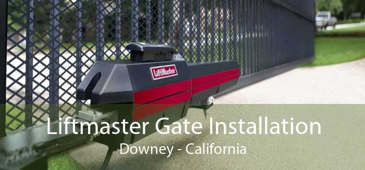Liftmaster Gate Installation Downey - California