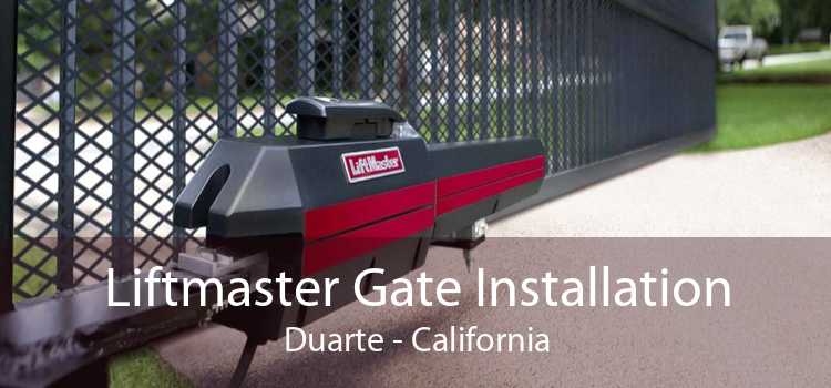 Liftmaster Gate Installation Duarte - California