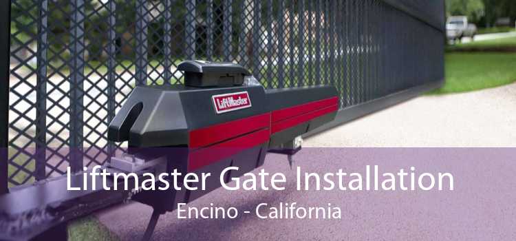 Liftmaster Gate Installation Encino - California