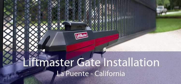 Liftmaster Gate Installation La Puente - California