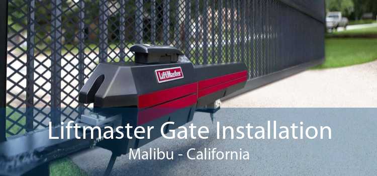 Liftmaster Gate Installation Malibu - California