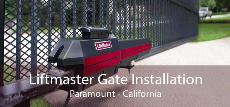 Liftmaster Gate Installation Paramount - California