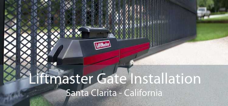 Liftmaster Gate Installation Santa Clarita - California