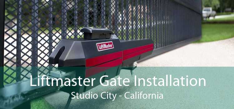 Liftmaster Gate Installation Studio City - California