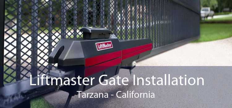Liftmaster Gate Installation Tarzana - California