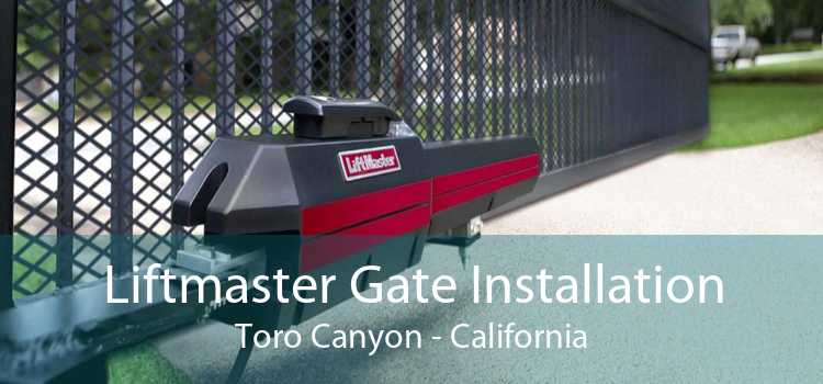 Liftmaster Gate Installation Toro Canyon - California