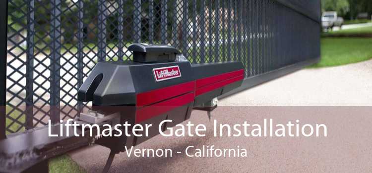 Liftmaster Gate Installation Vernon - California